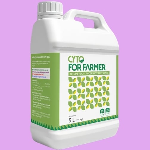 EXTREME AA ALGAE Bormo