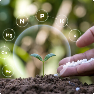 Micronutrient Fertilizers