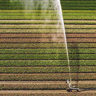 Water-Soluble Fertilizers