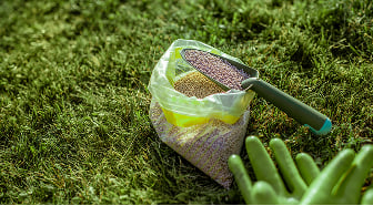 Using Tissue and Root Zone Analysis to Improve Crop Nutrition Decisions sss sss