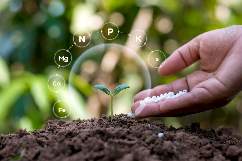Chelated micronutrients maximize nutrient absorption