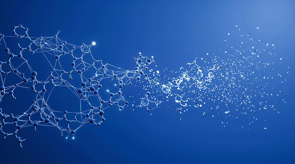 The Peptionics Hydrolysis Process