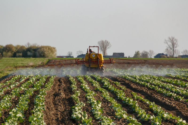 Amino acid fertilizers boost growth effectively when applied correctly, avoiding common mistakes