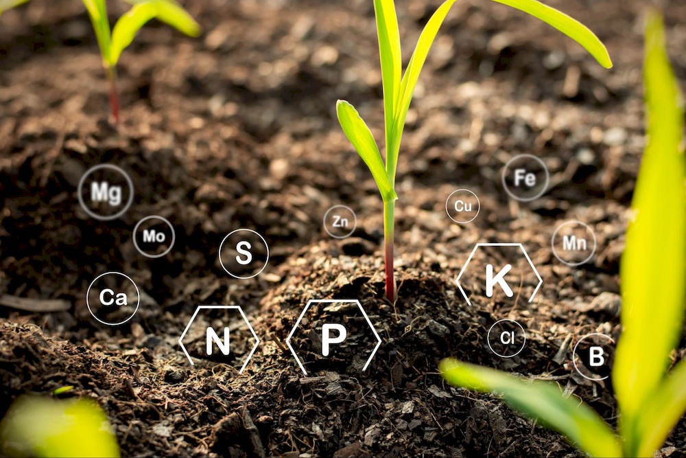 Chelated micronutrients prevent nutrient deficiency
