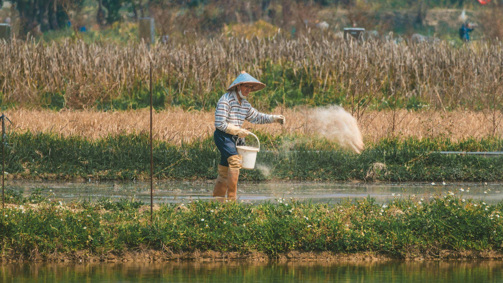 Farmers choose fertilizers based on their specific crop needs