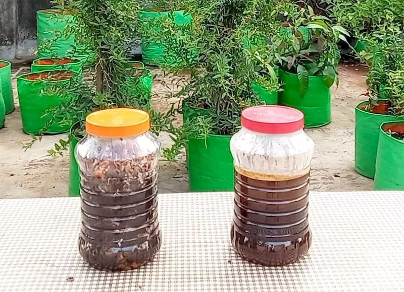 How to Make Fish Amino Acid Fertilizer: The Complete Step-by-Step Guide