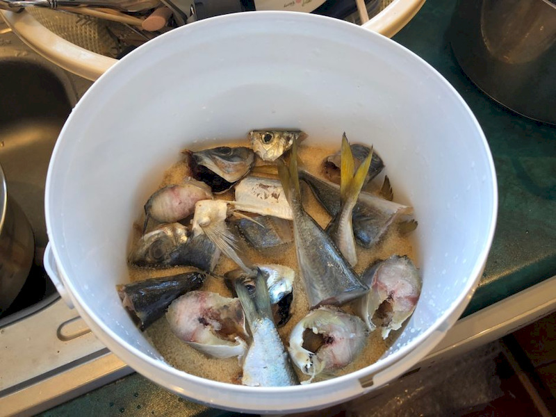 Layering fish by-products and brown sugar (1:1) to initiate the fermentation process for fish amino acid fertilizer production.