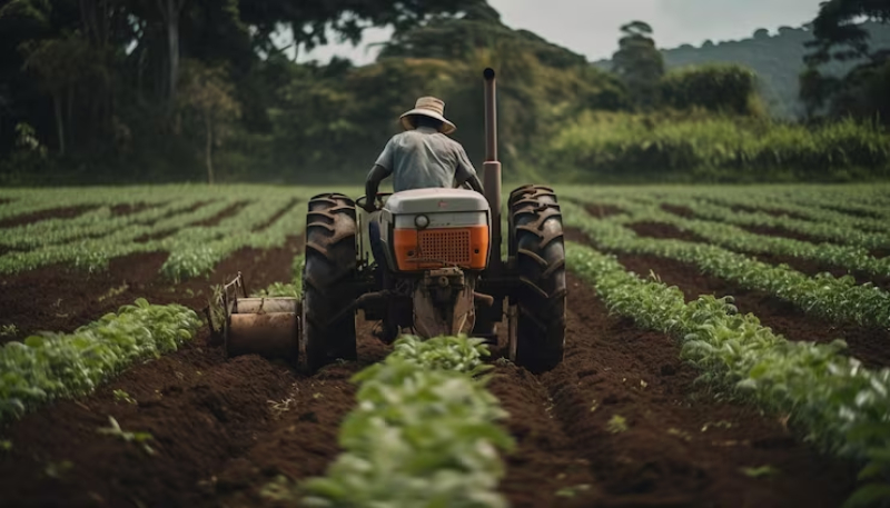 Proper dose, timing, and soil care help fish amino acid fertilizer work effectively and safely