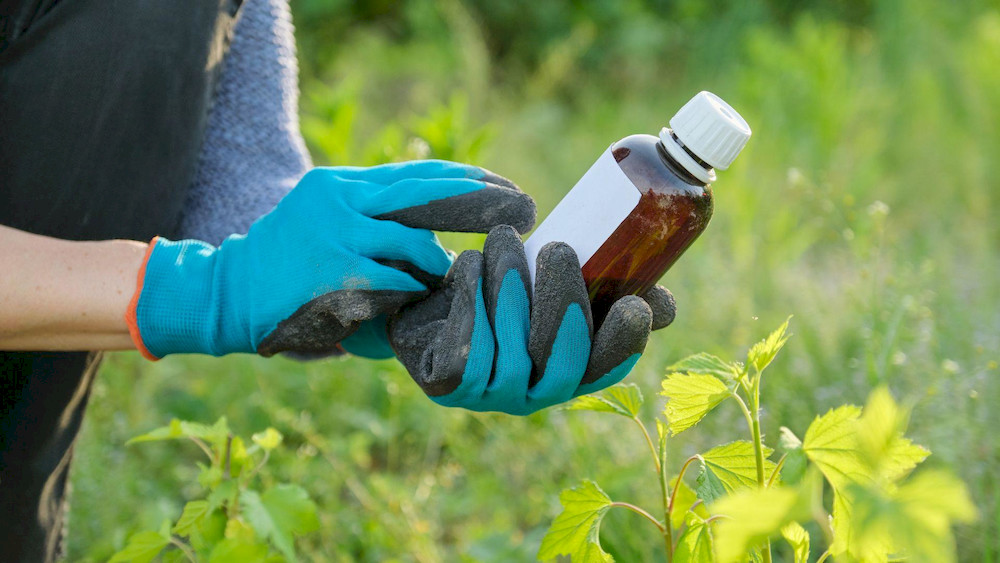 Thanks to its rapid absorption, PRIME AA MICRO helps plants maintain stability