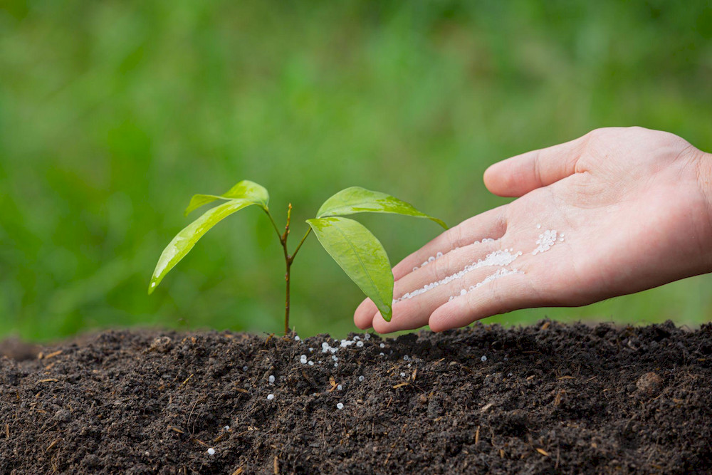 The application of micronutrients improves soil richness and quality