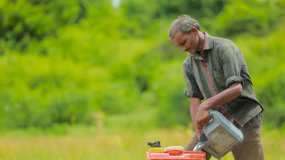 The liquid formulation ensures fast nutrient uptake by plants