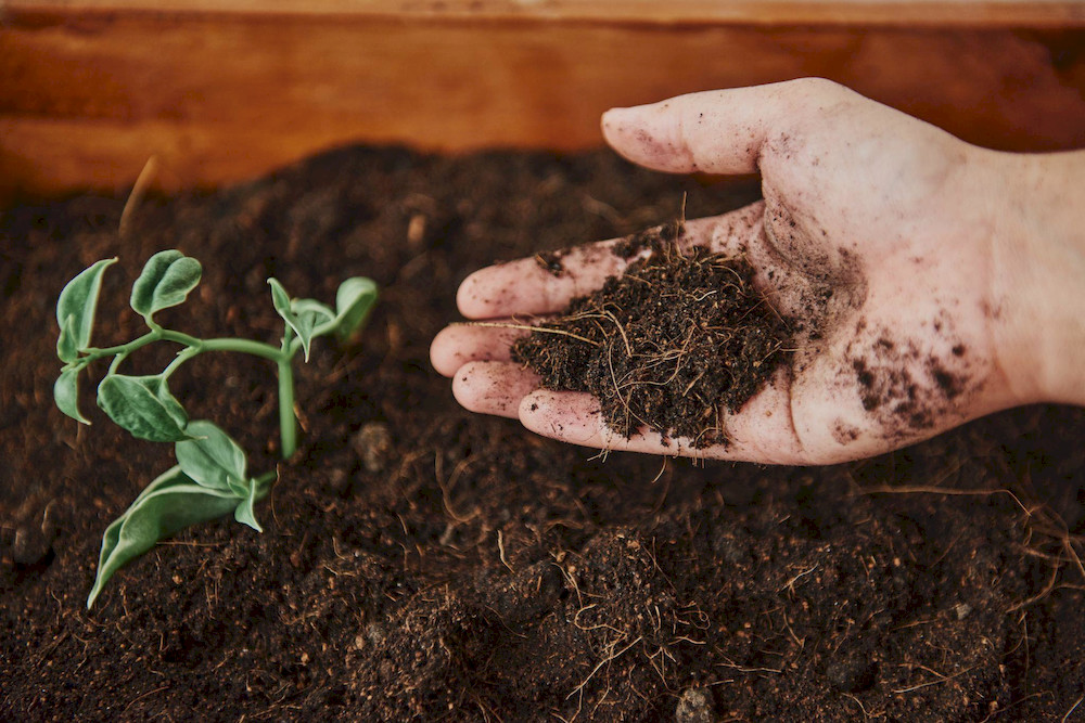 The soil microbial ecosystem is strengthened through micronutrient supplementation
