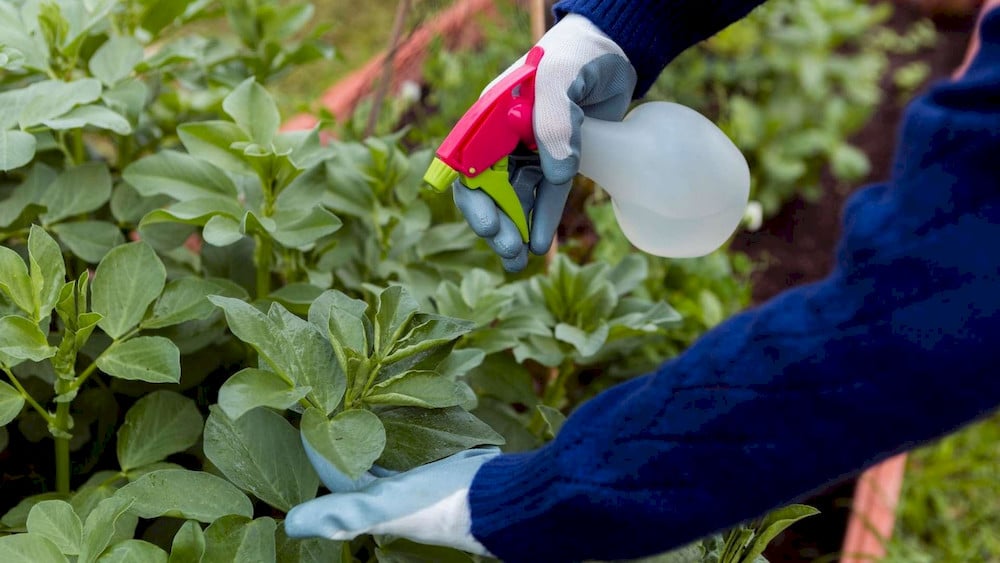 A well-planned application schedule allows crops to use phosphorus and potassium more effectively