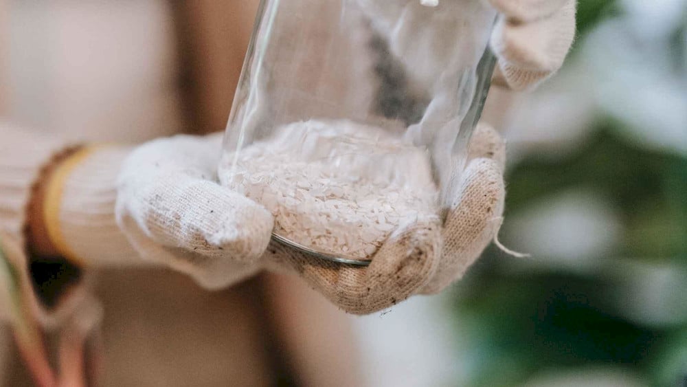 Bioactive peptides in PH fertilizers drive superior plant biostimulant properties