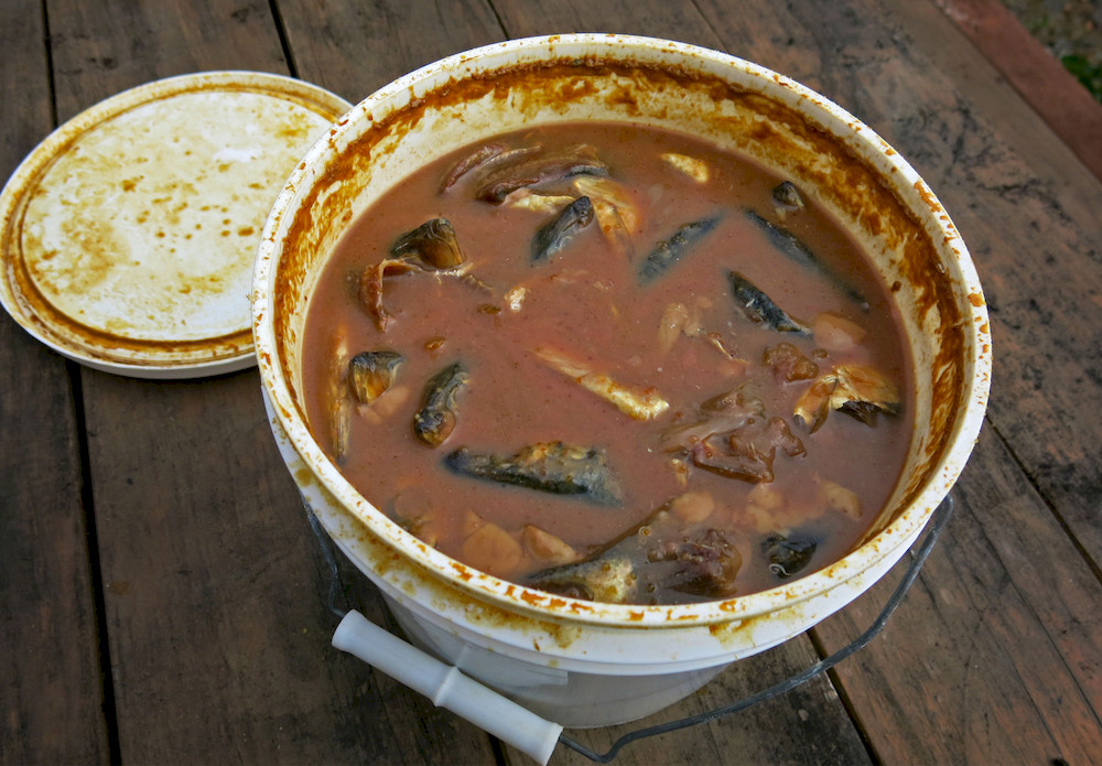 Changes in color, odor, and the breakdown of fish materials should be monitored to identify signs of spoilage.