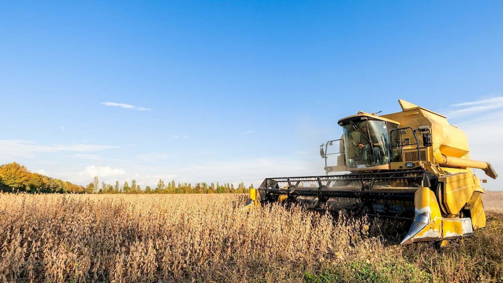 Cobalt nutrients directly support the symbiotic Rhizobia bacteria hosted by legume root systems