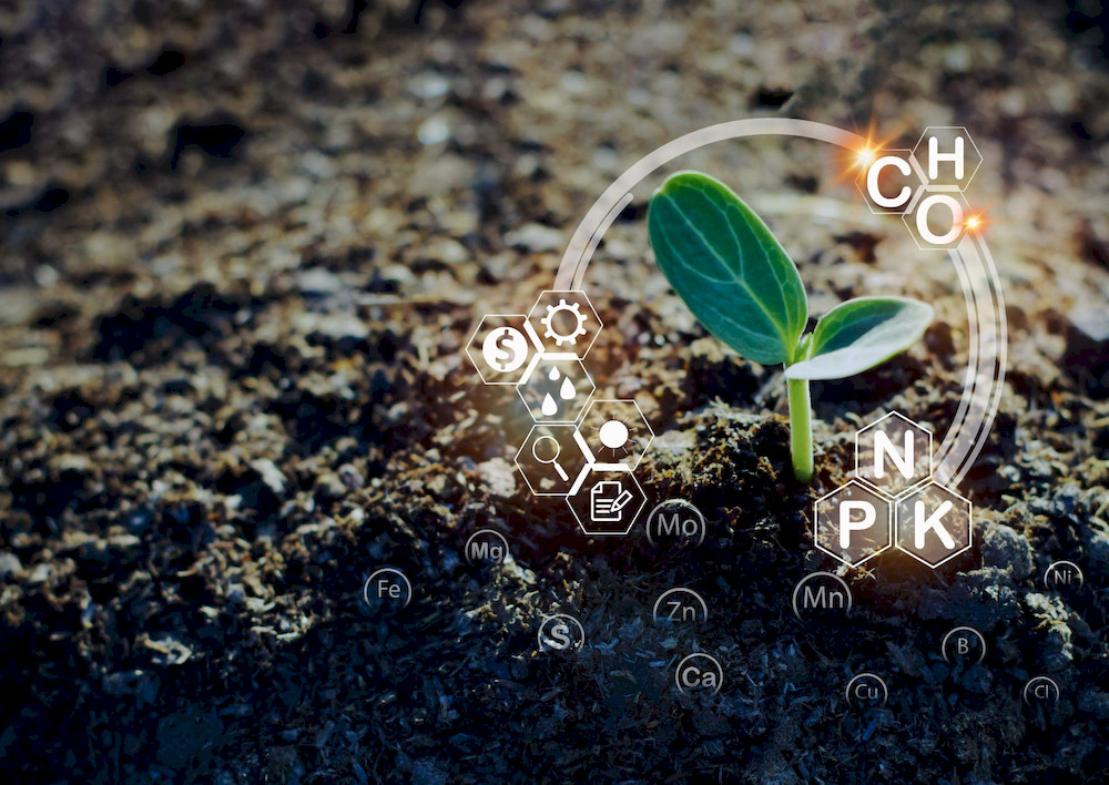 Combi fertilizers significantly improve nutrient uptake efficiency