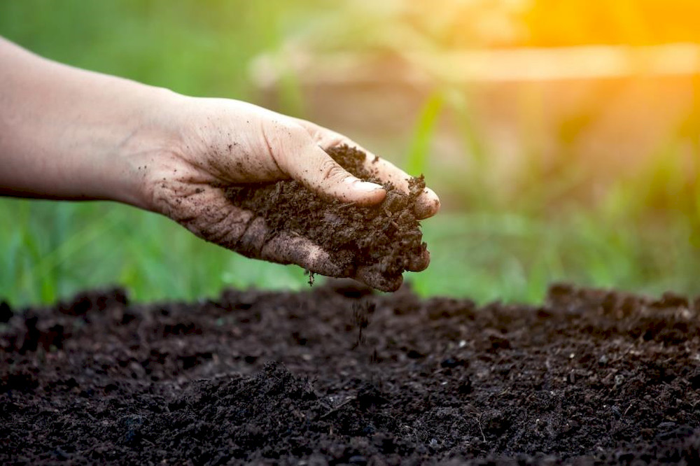 Expired commercial FAA can still enrich soil as organic matter, but has reduced amino acids and is less effective for foliar spraying or growth stimulation