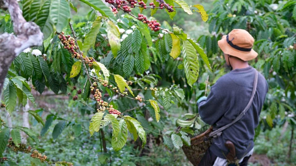 Farm managers implement strict safety protocols during the preparation of delicate fertilizer mixtures