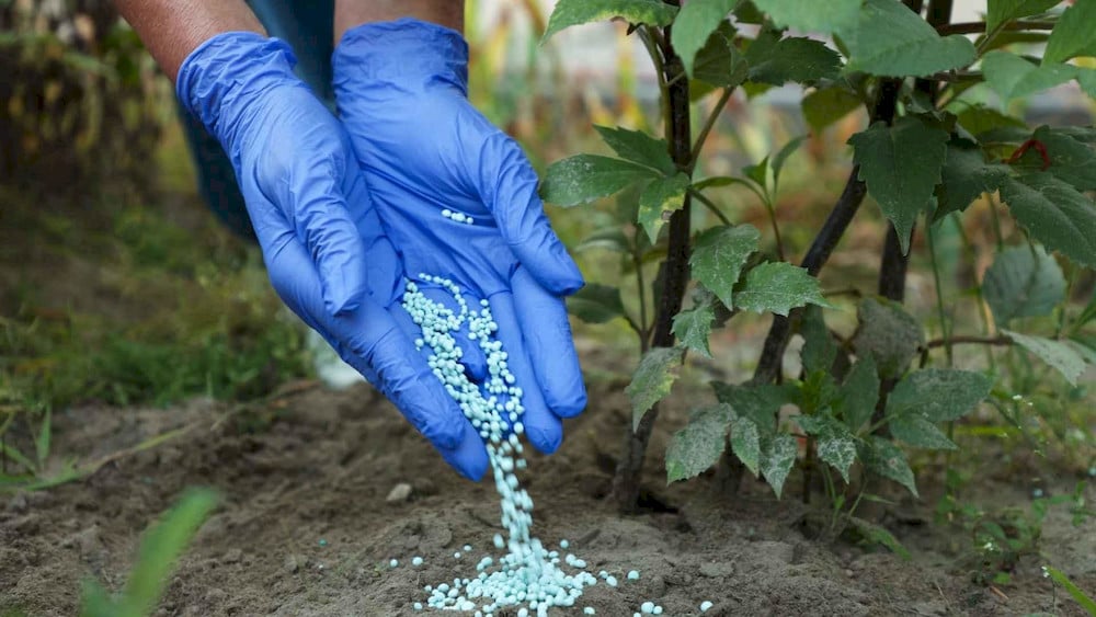 Fertilizer fortification incorporates essential micronutrients into macronutrients before soil application