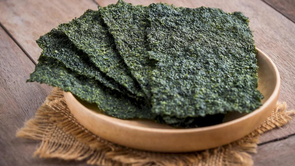 Fresh seaweed collected for homemade micronutrient fertilizer production