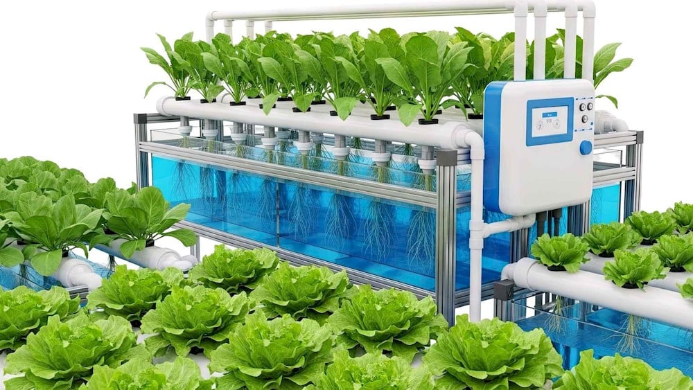High-tech nozzles create a fine nutrient mist to nourish suspended roots in vertical farming setups