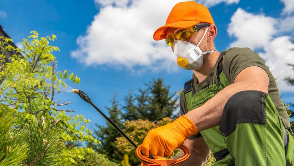 Liquid nutrients penetrate directly through the leaf cuticle to bypass severe soil fixation issues