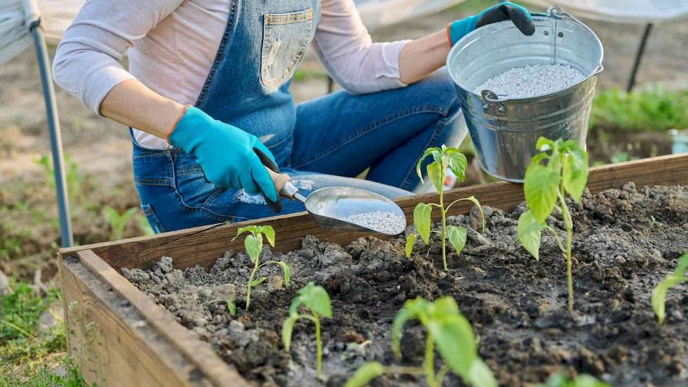 3 Micronutrient Fertilizer Types Every High-Yield Grower Needs To Know