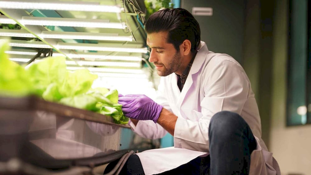 Natural chelation process of amino acids improving micronutrient uptake efficiency