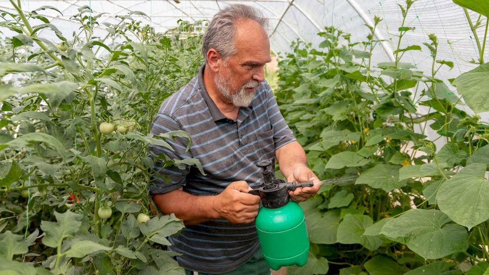 Proper use of liquid nutrients supports healthier and more consistent crop development