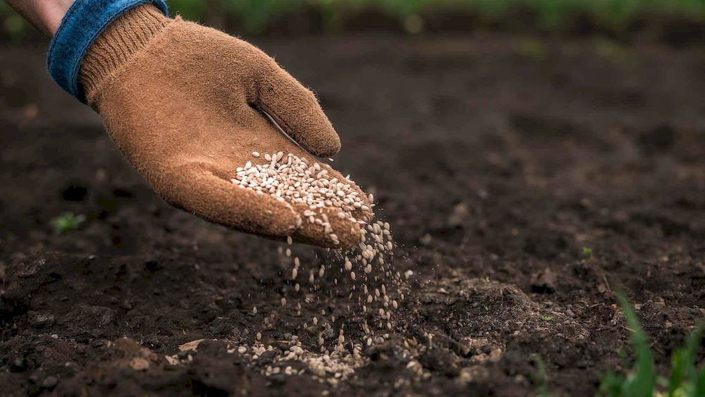 Soil application establishes a long-lasting reserve of micronutrients within the root zone