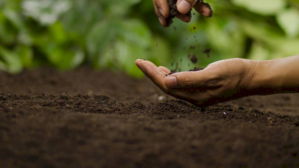 Soil testing provides valuable insights for long-term fertility management