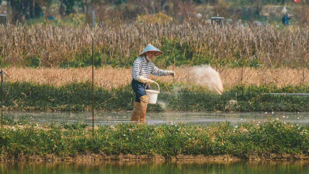 Sulfate-based micronutrients are commonly selected when growers need a practical and widely available nutrient source