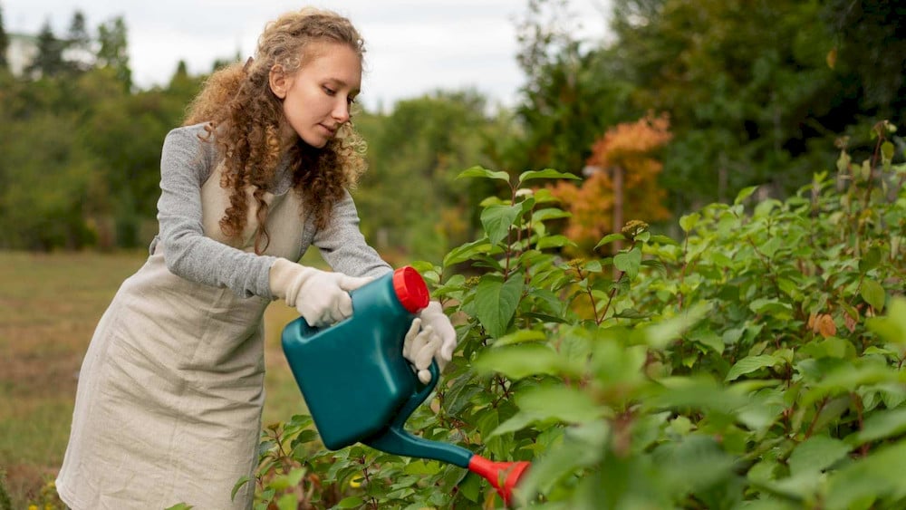 Water-soluble NPK delivers nutrients rapidly, helping crops achieve higher nutrient-use efficiency during critical growth stages
