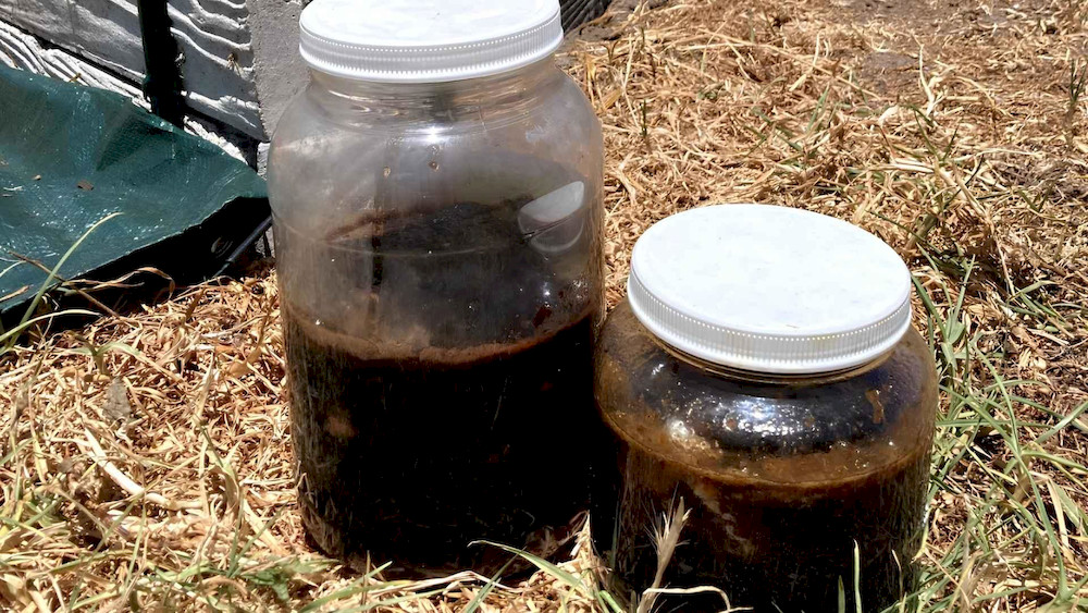 Bio-fermentation uses beneficial microorganisms to break down fish waste into a nutrient-rich liquid fertilizer