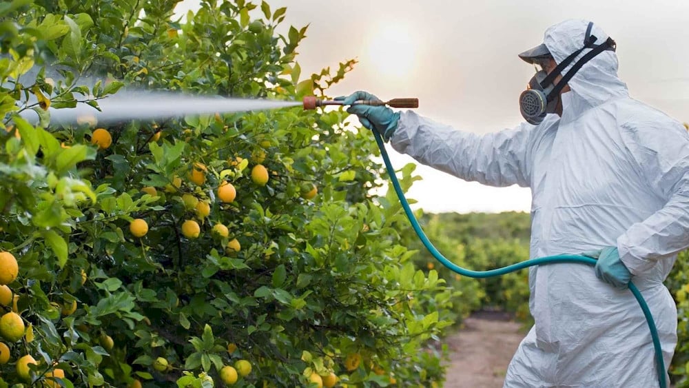 What is EDTA Chelated Micronutrient? 6 Benefits & How to Use It