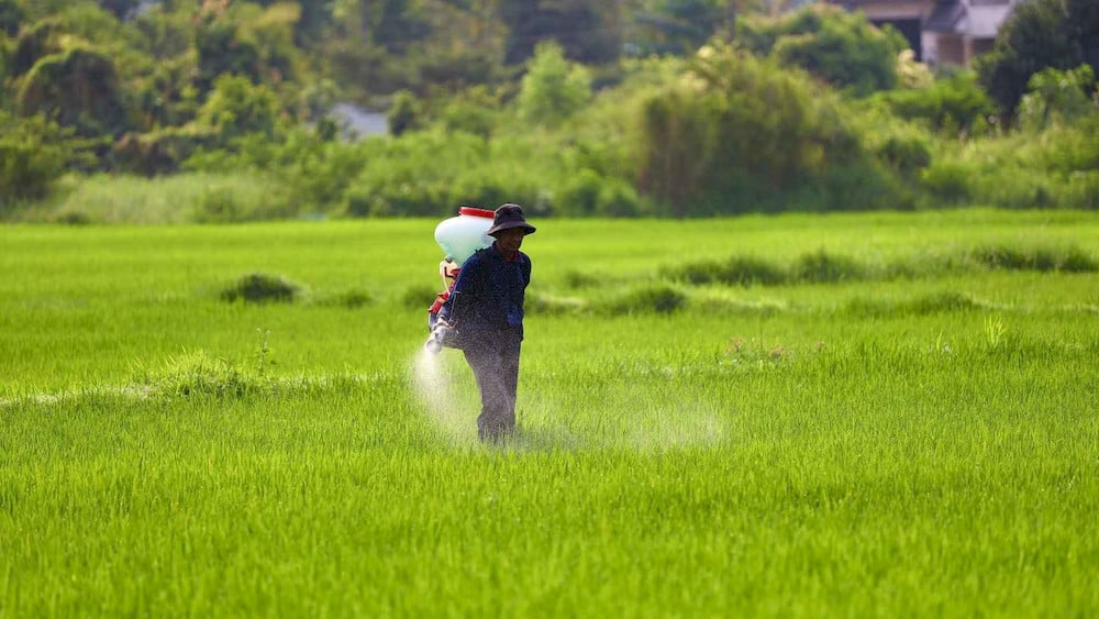 Foliar spraying provides NPK nutrients for a wide range of crops