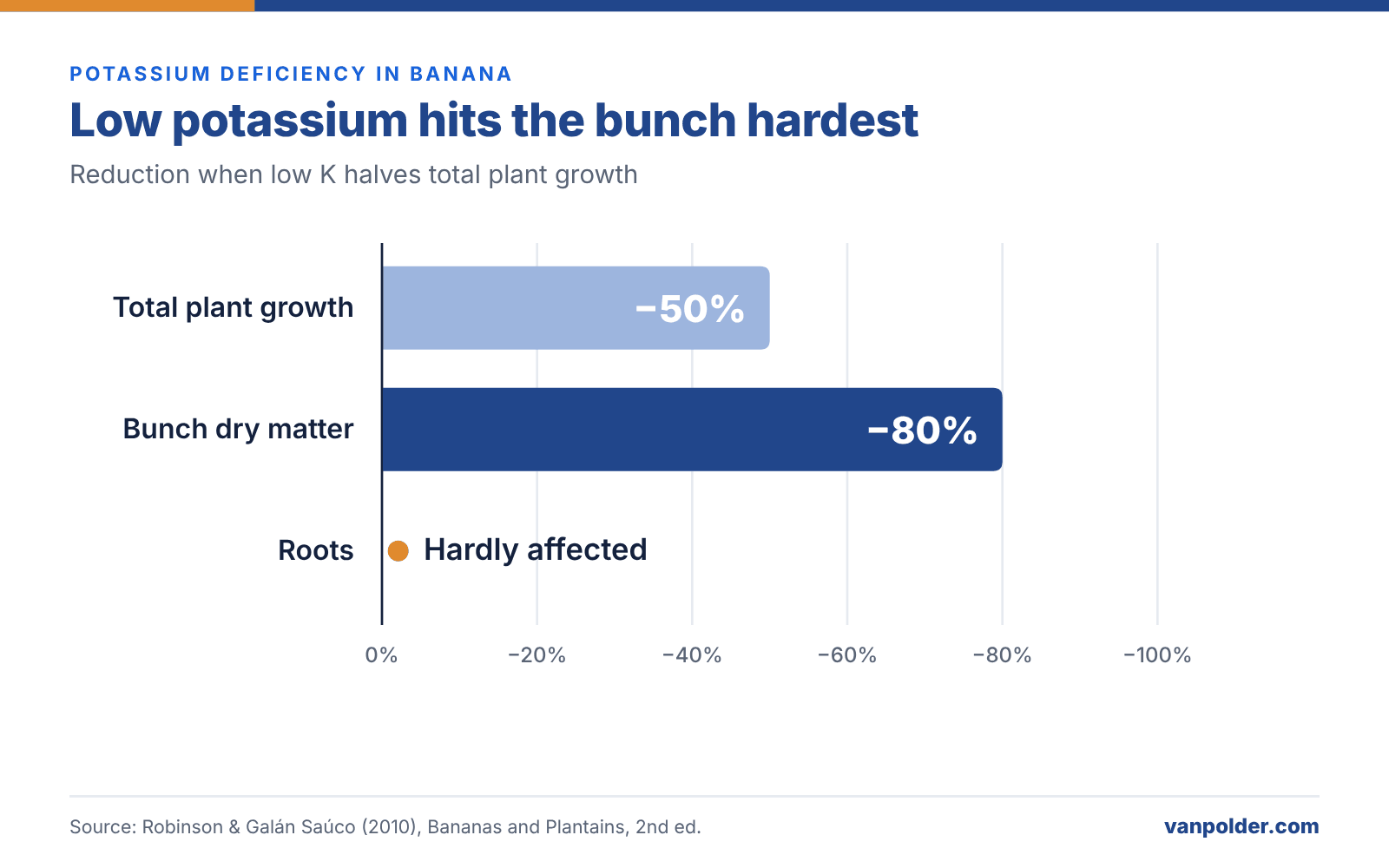 Bar chart: when low potassium halves total banana plant growth, bunch dry matter falls by 80% while roots are hardly affected (Robinson & Galán Saúco, 2010).