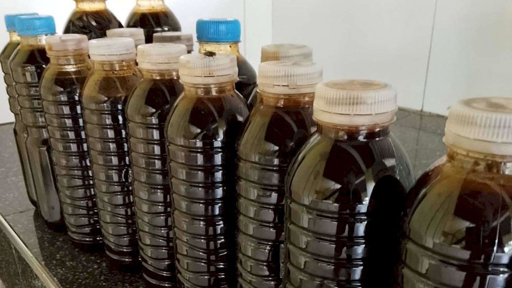 Fish Amino Acid Production: 3 Methods & Criteria for Optimal Selection