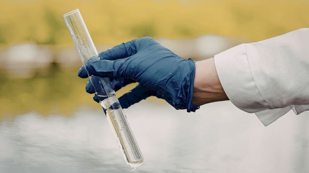 Soil and water testing should be conducted before applying EDTA-chelated micronutrients