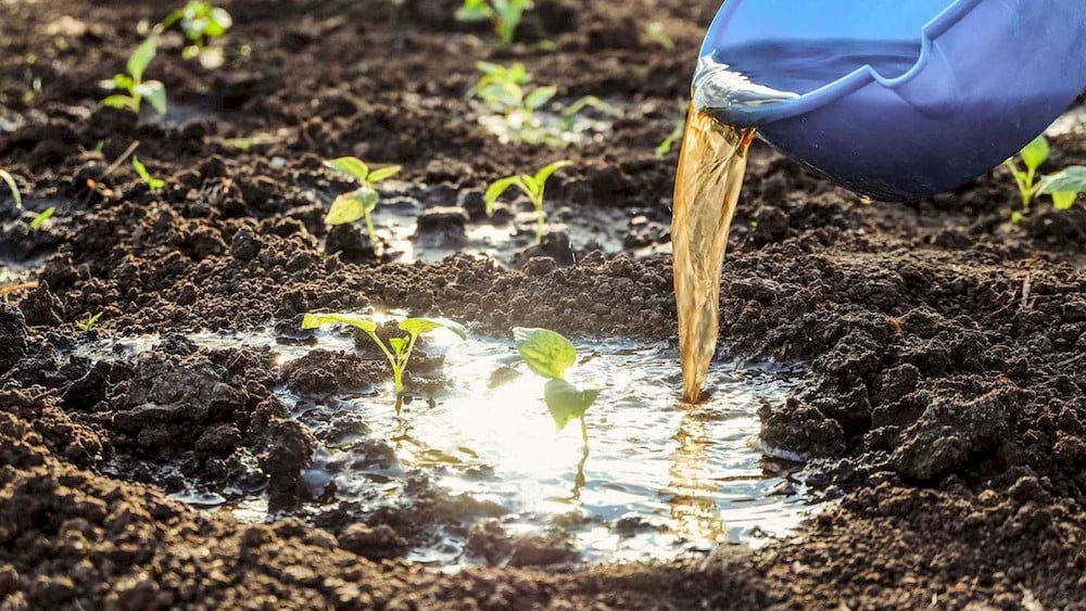 The right application method can determine whether a trace element remains available to the plant or becomes unavailable in the soil