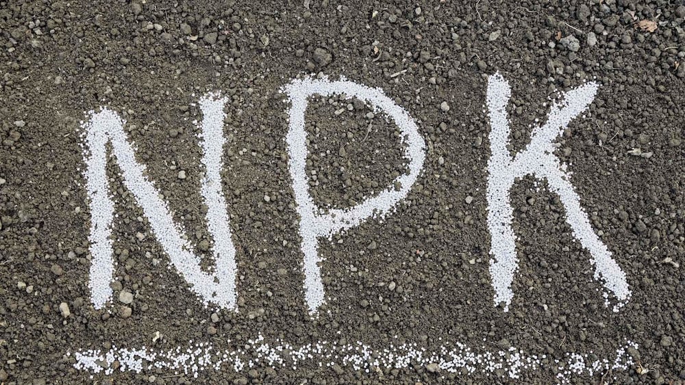 Their roles may differ, but N, P, and K work together throughout the plant growth cycle